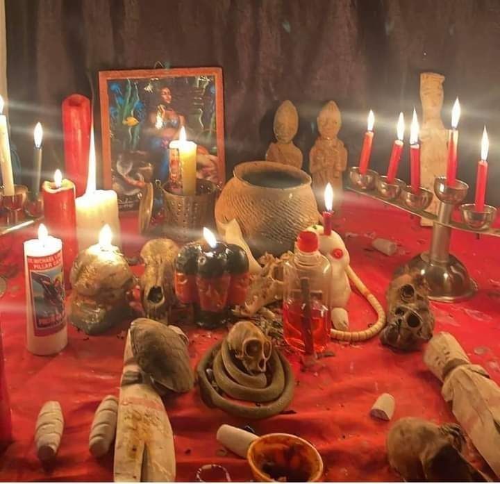 The Best Traditional Healer
