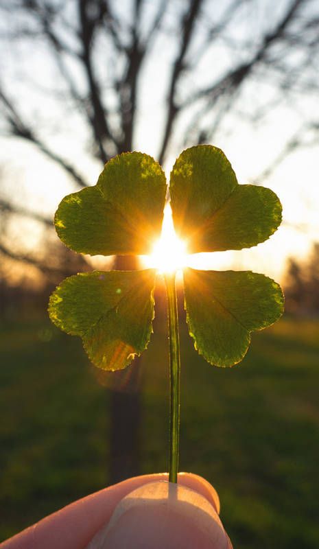 Luck & Spiritual Charms